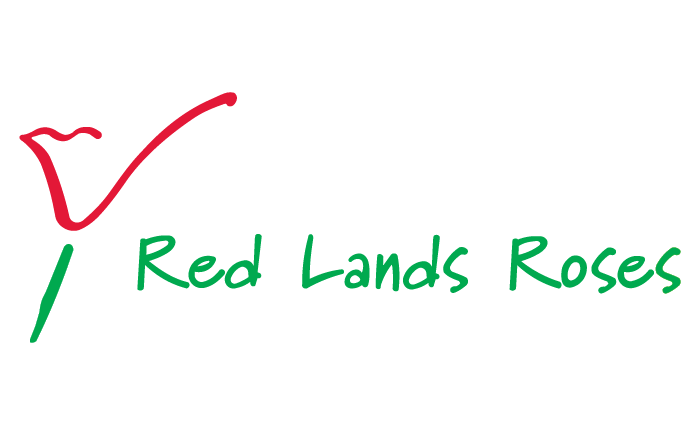 Red Lands Roses